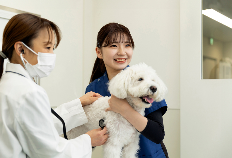 ヤマザキ動物看護専門職短期大学の風景