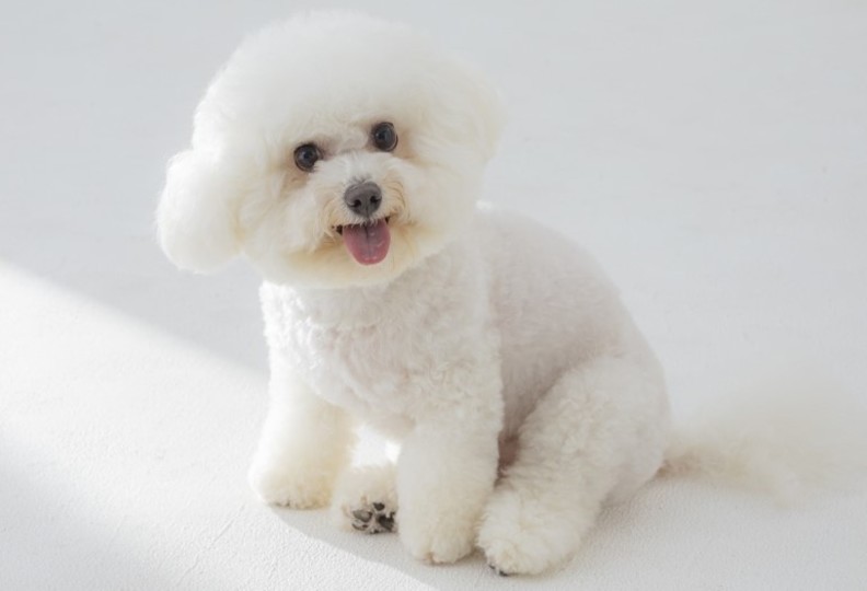 札幌どうぶつ専門学校の風景