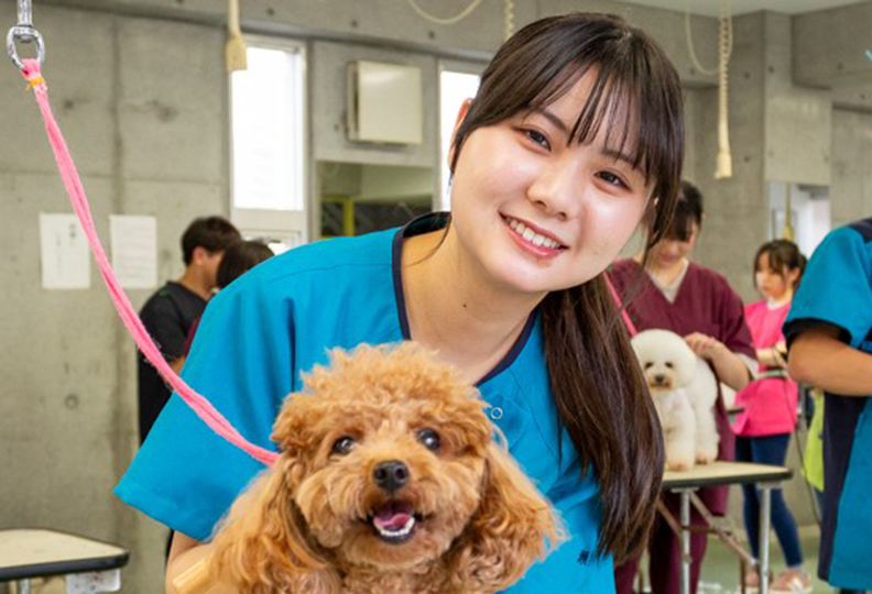 ブレーメン動物専門学校の風景