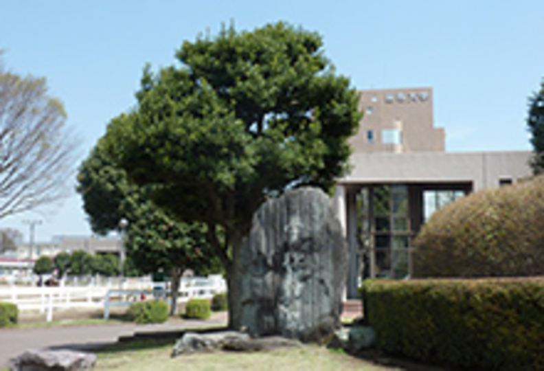 麻布大学の風景