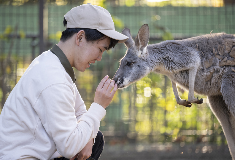 中央動物看護専門学校の風景