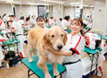 横浜動物専門学校の特長2