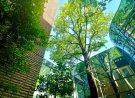 大阪医療大学の特長3